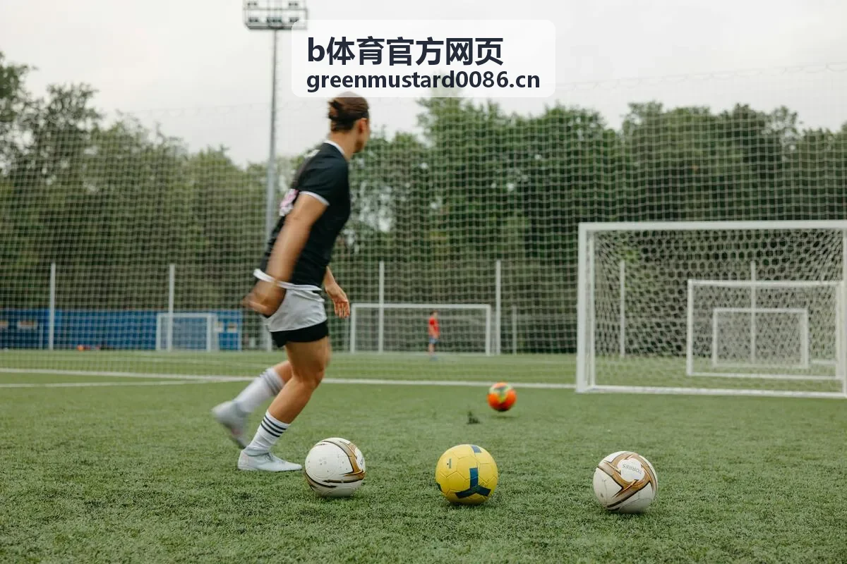 b体育官方网页 客户端界面预览